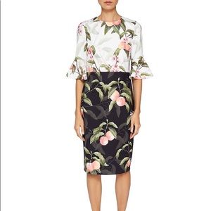 Ted Baker Areea Peach Blossom Dress NWT size 2